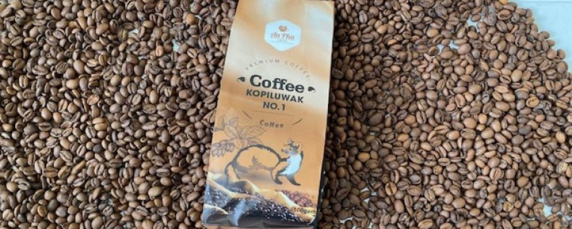 Kopi Luwak zijn poepchique koffiebonen met veel ophef!